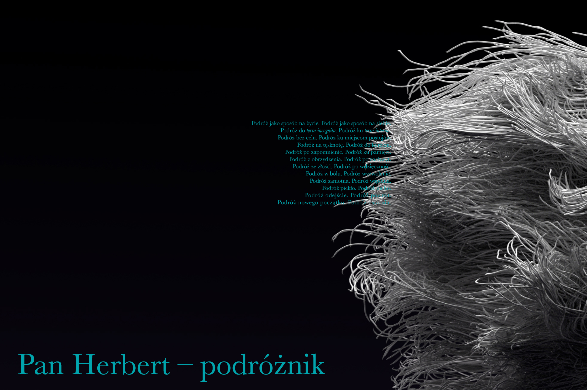 Pan Herbert – podróżnik 