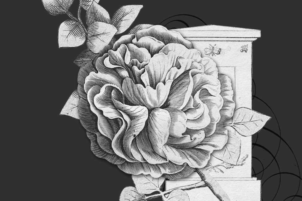 Z głębokim żalem zawiadamiany, że w&nbsp;dniu 7 lutego 2026 roku zmarł Profesor Oskar Stanisław Czarnik