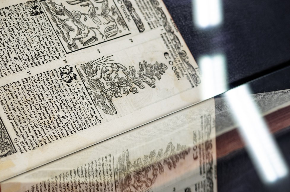 Trwa rejestracja na konferencję „Digital Library – Culture for All Forever”